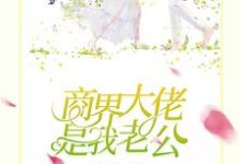 苏遥顾靳川小说在线章节免费阅读(商界大佬是我老公无弹窗无删减)-推书机
