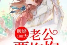 暖婚100天：老公要抱抱这本小说在哪里可以看？哪里有免费试读章节？-推书机