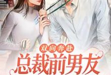 双向奔赴：总裁前男友非要破镜重圆小说全文阅读需要付费吗？寻找免费资源-推书机