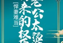 悍妻难当：拐来的权臣老公太烫手陆杳苏槐，悍妻难当：拐来的权臣老公太烫手小说免费阅读-推书机