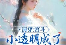 清穿:宫斗小透明成了四爷心尖宠主角苏安安胤禛小说完结版章节在线阅读-推书机