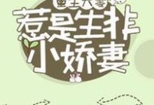 重生六零:惹是生非小娇妻韩惠刘君山小说在线章节免费阅读-推书机