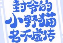 求悄然情深:封爷的小野猫名不虚传小说免费资源-推书机
