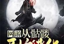 网游:从骷髅开始进化章节免费在线阅读,张宇地精巴伦德黑子完结版-推书机