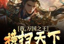 《我,万国之王,横扫天下诸国》全集免费在线阅读(姜元卫青)-推书机