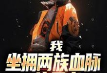 已完结小说《我，坐拥两族血脉，一统忍者！》在线章节阅读-推书机