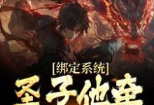 已完结小说《绑定系统:圣子他牵着女主走》章节免费阅读-推书机