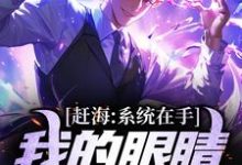 哪里能找到赶海:系统在手,我的眼睛就是尺小说的全部章节?-推书机