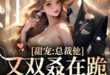 简薇霍北凛小说叫什么(甜宠:总裁他又双叒在跪搓衣板了免费阅读)-推书机