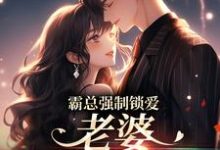 唐安许其琛为主角的小说霸总强制锁爱：老婆，连生三胎嘛在线阅读-推书机