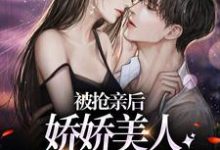 主角叫许微兰秦砚的小说在哪阅读-推书机