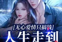 无心爱情只搞钱,人生走到巅峰圈这本小说怎么样?免费在线阅读试试-推书机