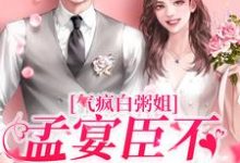 求推荐可以免费阅读气疯白粥姐，孟宴臣不当舔狗了小说的网站-推书机