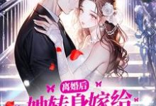 免费在线阅读离婚后，她转身嫁给金主亲哥小说的正规网站有哪些？-推书机