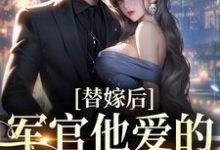 替嫁后,军官他爱的深不可拔姜婉宁谢辞舟,替嫁后,军官他爱的深不可拔章节在线阅读-推书机