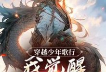 穿越少年歌行，我觉醒逆天系统小说有没有完结版在线？-推书机