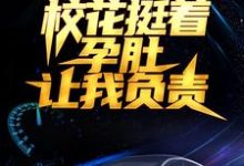 求推荐可以免费阅读被分手后，校花挺着孕肚让我负责小说的网站-推书机