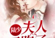陆少，夫人又跑了田真陆怀宇，陆少，夫人又跑了章节在线阅读-推书机