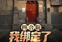 《四合院:我绑定了黄金垂钓系统》小说章节列表免费试读,程文远小说在线阅读-推书机
