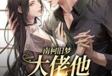 南柯旧梦:大佬他恋恋不忘免费阅读,南柯旧梦:大佬他恋恋不忘章节目录-推书机