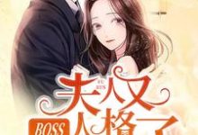 BOSS,夫人又人格分裂了小说无弹窗阅读的网站推荐-推书机