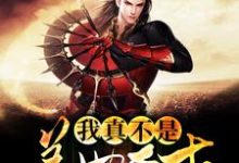 我真不是盖世奇才这本小说怎么样?免费在线阅读试试-推书机