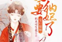 《皇后娘娘,皇上他又要纳妃了》小说章节列表免费试读,云千凝苏暻萧小说在线阅读-推书机