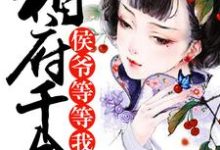 相府千金,侯爷等等我小说全文阅读需要付费吗?寻找免费资源-推书机
