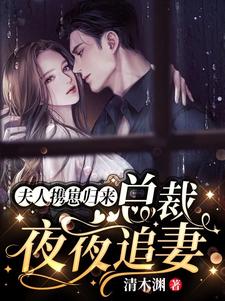 已完结小说《夫人携崽归来，总裁夜夜追妻》章节免费阅读