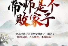 寻找大朝之势:帝师是个败家子小说的最新更新章节-推书机