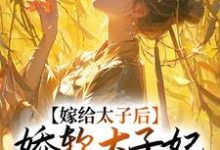 嫁给太子后,娇软太子妃藏起尖刀这本小说怎么样?免费在线阅读试试-推书机