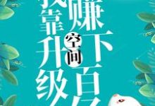 九零:我靠升级空间赚下百亿小说,九零:我靠升级空间赚下百亿章节在线阅读-推书机