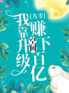 九零：我靠升级空间赚下百亿小说，九零：我靠升级空间赚下百亿章节在线阅读