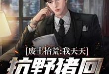 冷轩祁煦为主角的小说废土拾荒:我天天抗野猪回家吃大餐在线阅读-推书机