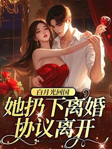 《白月光回国，她扔下离婚协议离开》小说章节列表免费试读， 黎辛天谢斯南小说在线阅读
