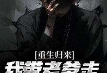 重生归来,我带老爹走上人生巅峰云辉云哲小说免费阅读-推书机