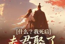 完结版《什么?我死后,夫君娶了小白莲》章节阅读-推书机