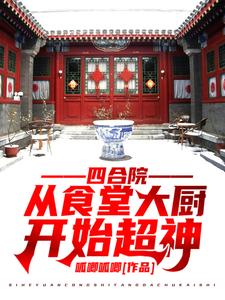 主角何雨柱娄晓娥小说四合院：从食堂大厨开始超神免费阅读