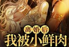 小说《离婚后,我被小鲜肉们围满了》章节免费阅读-推书机