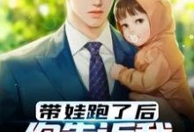 叶玄沈小柒的小说在哪里看?免费在线阅读带娃跑了后,你告诉我你深藏不露-推书机