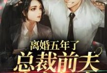 沈颖汐盛淮渊是哪本书的主角?离婚五年了,总裁前夫跪求复合免费读-推书机