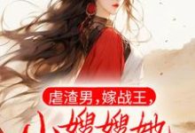 求虐渣男,嫁战王,小嫂嫂她医术第一小说的全文免费阅读链接-推书机