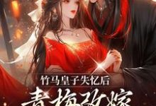 完结版《竹马皇子失忆后,青梅改嫁太子了》章节目录在线阅读-推书机