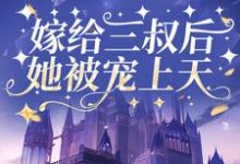 嫁给三叔后她被宠上天小说全文哪里可以免费看?-推书机