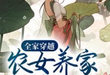 全家穿越:农女养家细水长流免费阅读,全家穿越:农女养家细水长流丁宁瑞哥儿-推书机