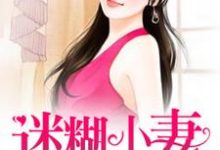 林小果韩苑杰是哪本书的主角?寻找迷糊小妻乖乖入怀免费阅读-推书机