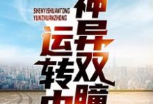 徐晋宋乔的故事在哪本书里?免费阅读神异双瞳运转中-推书机