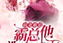 前妻难追,霸总他洗心革面免费阅读,前妻难追,霸总他洗心革面苏沐陆漾顾若-推书机