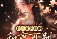 求推荐可以免费阅读白月光你选的,和离可别来诉苦小说的网站-推书机