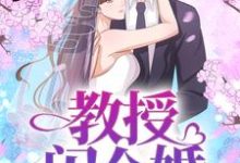 已完结小说《教授,闪个婚》章节在线阅读-推书机